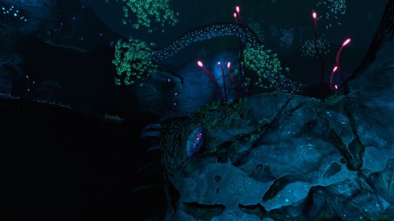 File:Table coral.jpg