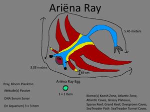 Ariëna Ray Concept.jpg