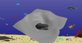 Bone Island Cove Concept