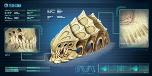 Fox3d-entertainment-caveskeletonscan.jpg