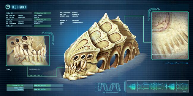 Fox3d-entertainment-caveskeletonscan.jpg