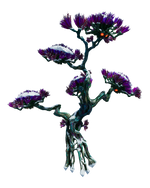 Frost Acacia Flora.png