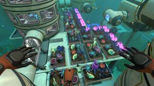 GardenFish2.jpg