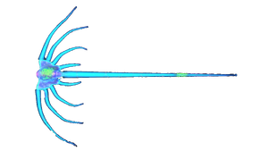 Infected Jellyray.png