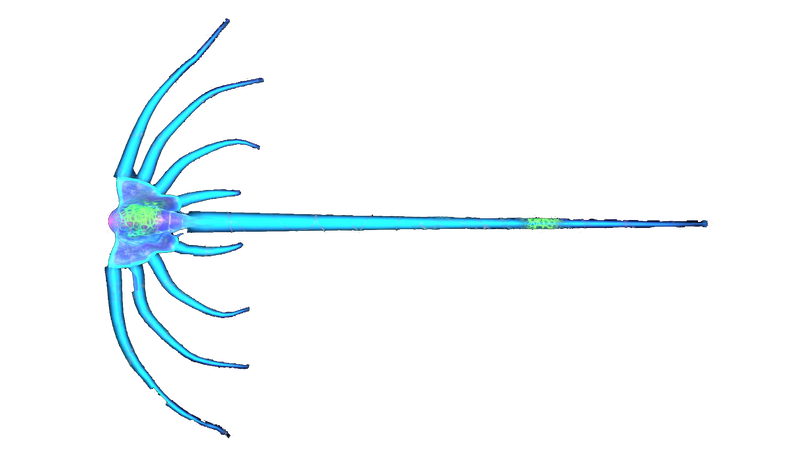 File:Infected Jellyray.png