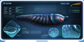 Thumbnail for version as of 21:42, 1 August 2017