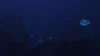 Another view of the Grand Reef