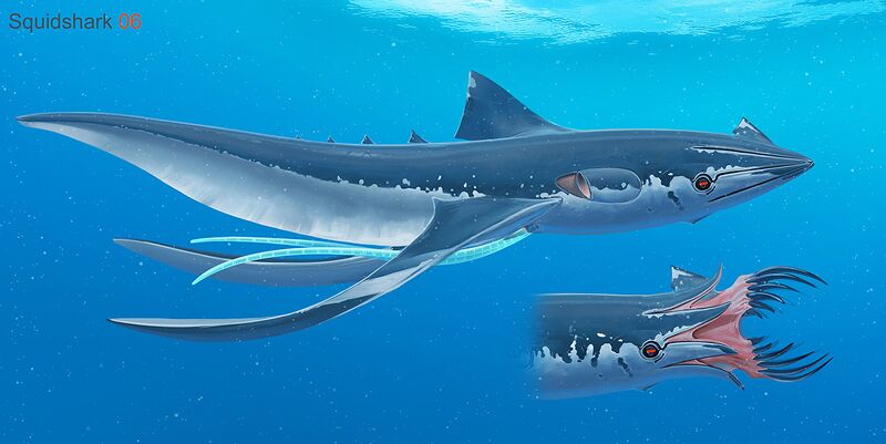 File:SquidShark 06.jpg