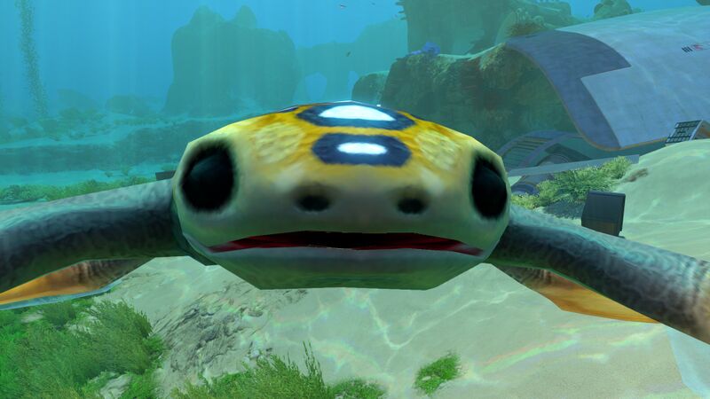 File:WellHello.jpg