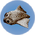 Cooked Triops.png