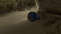 Close-up of a Crash base with the fish still inside