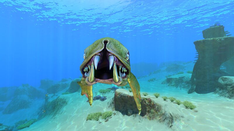 File:Front view.jpg