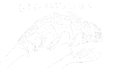 Gigantillus