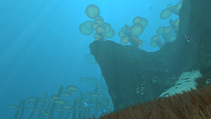 NEMF Cliff.png