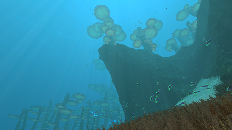 File:NEMF Cliff.png