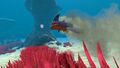 Sand Shark (9).jpg