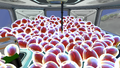 Thumbnail for version as of 03:23, 28 July 2015