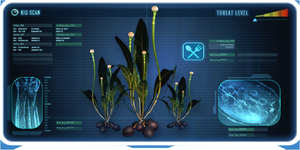 Chinese Potato-0 (BZ).png