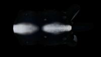 Further Cutefish bioluminescence