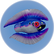 Feather Fish.png