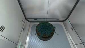 PlanterPotin-game.jpg