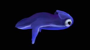 SeaMonkeyBaby SideView.jpg
