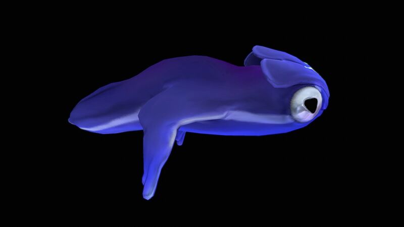 File:SeaMonkeyBaby SideView.jpg