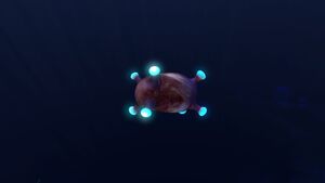20160726203922 1.jpg