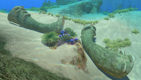 Coral Tube Samples can be harvested from Giant Coral Tubes