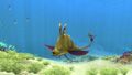 The Garryfish