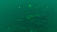 The eastern side of the Mercury 2s bow.