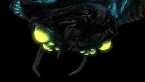 Reefback12.jpg