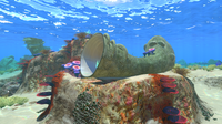 One of the Giant Coral Tubes in the Safe Shallows