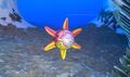 Developer Screenshot of the Spinner Fish