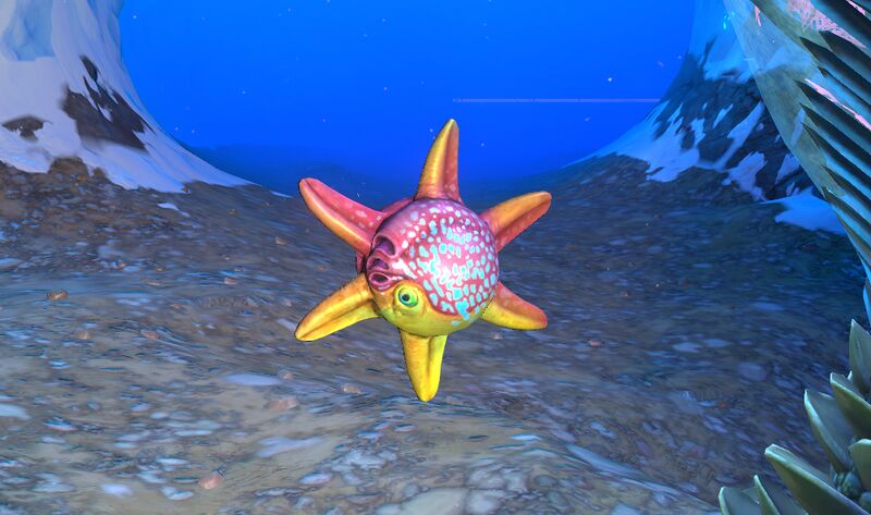 File:Spinner Fish Trello.jpg