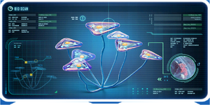 Triangle Plant Ency.png
