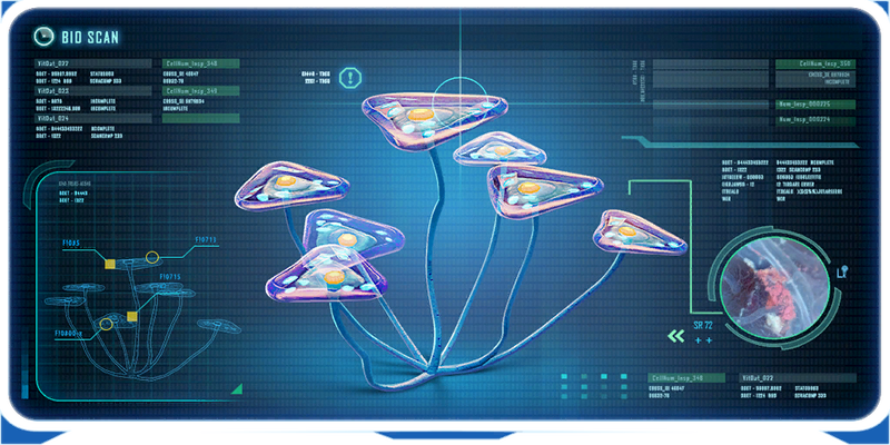 File:Triangle Plant Ency.png