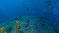 The northern underwater portion during the day