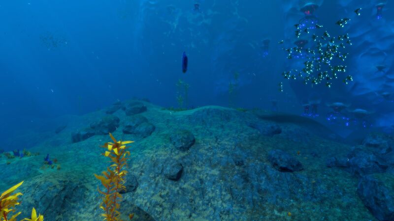 File:Underwater Overview Day.jpg