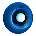 Titan Holefish Egg