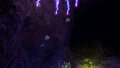 Thumbnail for version as of 16:15, 24 April 2017