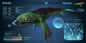 Lava Lizard-0.jpg