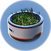 Plant Pot.png