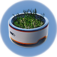 Plant Pot.png