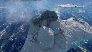 STB Land Flora.jpg