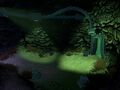 Thumbnail for version as of 03:26, 10 December 2016
