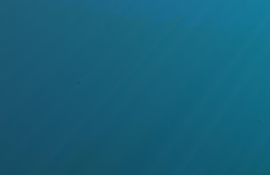 Avoid.png