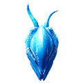 Squidshark Egg