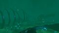 Thumbnail for version as of 05:52, 8 November 2016
