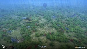 Fox3D Subnautica Grassy Landscape Concept.jpg